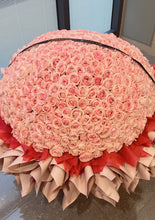 Load image into Gallery viewer, 520 Snow Pink Fresh Rose Flower Bouquet 520朵鲜花粉雪山玫瑰花束 （情定终身）
