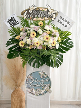 Load image into Gallery viewer, 这场离别，成了永远的遗憾（鲜花fresh flowers 单箱子）
